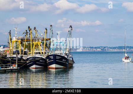 Chalutiers de pêche commerciale dans le port extérieur. Brixham, Devon, Angleterre, Royaume-Uni, Grande-Bretagne Banque D'Images