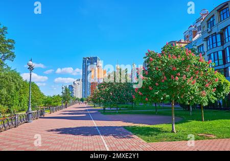 Descendez Obolonska Embankment et profitez de la végétation luxuriante et des châtaignes rouges en fleurs, Kiev, Ukraine Banque D'Images