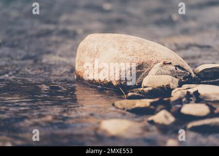 Un gros plan des pierres au bord de l'eau Banque D'Images