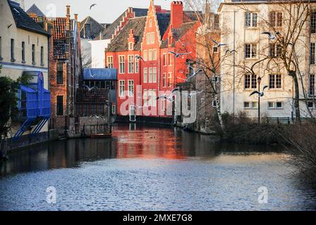 Coucher de soleil dans la belle ville de Gand, Belgique. Banque D'Images