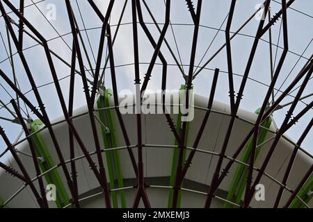 Détail de la structure de Supertree Grove, structure arborescente qui exécute une multitude de fonctions, y compris la plantation et l'ombrage à l'intérieur des jardins Banque D'Images