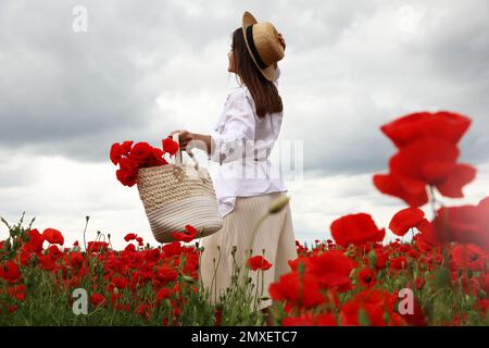 Femme tenant un sac à main avec des fleurs de pavot dans un beau champ Banque D'Images