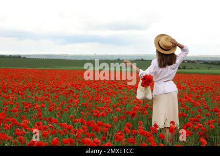 Femme avec sac à main et fleurs de pavot dans un beau champ Banque D'Images