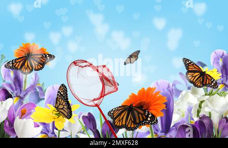 Filet brillant et papillons monarques fragiles dans le jardin fleuri Banque D'Images