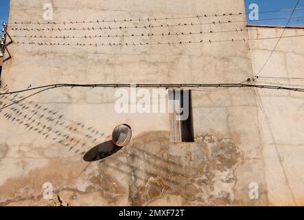 Ombre d'hirondelles sur le fil de téléphone dans une façade de maison d'attente dans le village de Corbera d'ebre. Province de Tarragone Banque D'Images