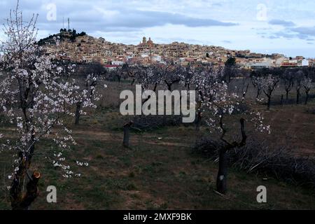 Champs de Matarrya. Une région de la province de Teruel, Espagne Banque D'Images