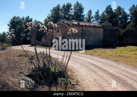 Champs de Matarrya. Une région de la province de Teruel, Espagne Banque D'Images