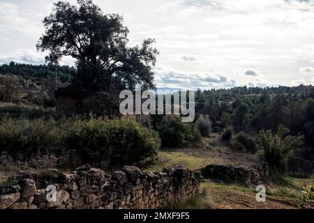 Champs de Matarrya. Une région de la province de Teruel, Espagne Banque D'Images