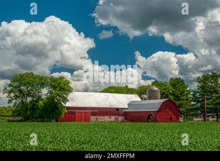 La fin de l'été et la récolte de maïs est belle devant cette grange historique magnifiquement entretenue dans la campagne du Wisconsin. Banque D'Images
