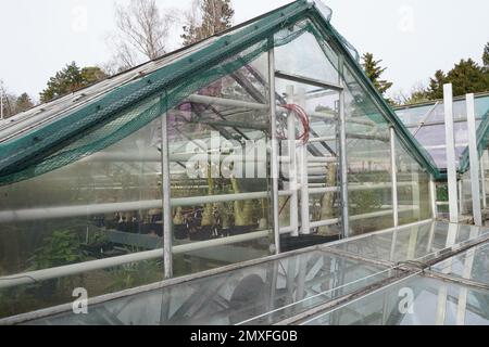 Serre pour plantes succulentes et cactus. La photo est prise à l'extérieur. Banque D'Images