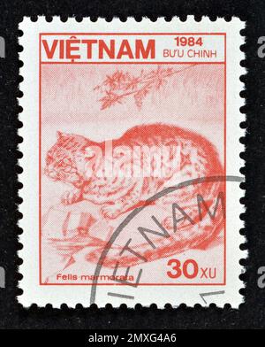 Timbre-poste annulé imprimé par le Vietnam, qui montre le chat marbré (Felis marmorata), vers 1984. Banque D'Images