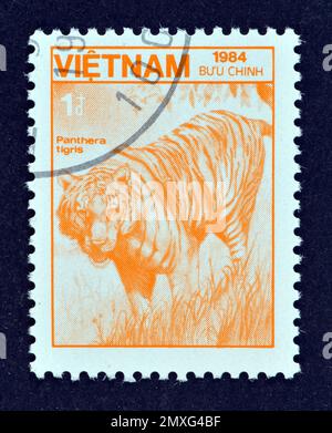 Timbre-poste annulé imprimé par le Vietnam, qui montre Tiger (Panthera tigris), vers 1984. Banque D'Images