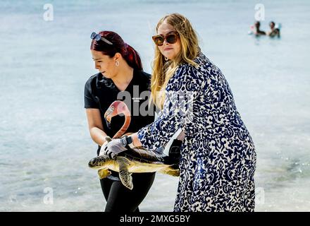 WILLEMSTAD - la princesse Amalia libère une tortue dans la mer lors d'une visite à la conservation des tortues de mer Curaçao. La Princesse de la Couronne a une introduction de deux semaines dans les pays d'Aruba, Curaçao et Sint Maarten et les îles qui forment les pays-Bas des Caraïbes : Bonaire, Sint Eustache et Saba. ANP REMKO DE WAAL pays-bas Out - belgique Out Credit: ANP/Alay Live News Banque D'Images