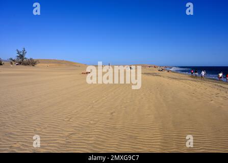 Les gens se détendent autour des dunes de sable et sur la longue plage étendue de Maspalomas, Gran Canaria Banque D'Images