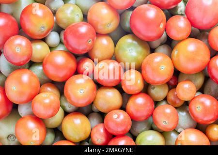 Les tomates cerises roses et vertes sont dans un bol. Banque D'Images