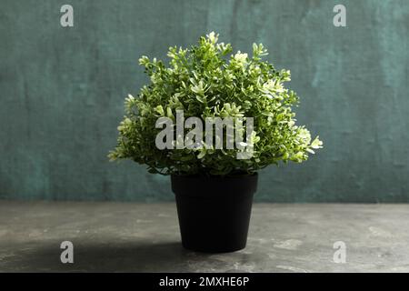 Belle plante artificielle en pot de fleur sur table en pierre grise Banque D'Images