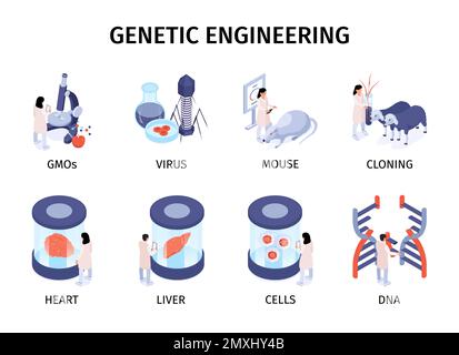 Compositions de génie génétique isométrique ensemble avec des organes clonage de scènes illustration vectorielle isolée Illustration de Vecteur