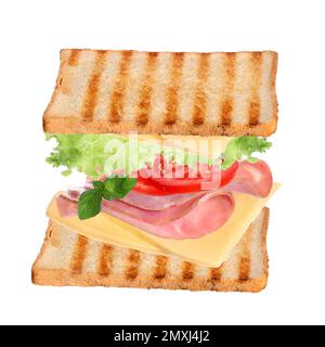 Délicieux sandwich avec pain grillé, jambon et autres ingrédients sur fond blanc Banque D'Images