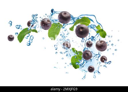 Aspersion d'eau avec des baies d'acai et des feuilles de menthe sur fond blanc Banque D'Images