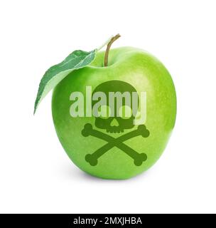Pomme empoisonnée verte avec crâne et crossos sur fond blanc Banque D'Images