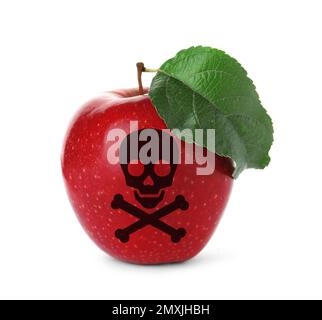 Pomme empoisonnée rouge avec crâne et crossos image sur fond blanc Banque D'Images