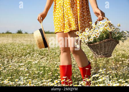 Femme avec chapeau de paille et panier en osier plein de chamomiles marchant dans le champ le jour ensoleillé, gros plan Banque D'Images