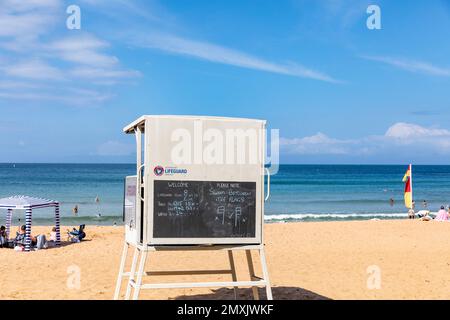 Service australien de sauvetage de surf Lifeguard à Palm Beach Sydney Australie instructions de refuge et de tableau noir nager entre les drapeaux Banque D'Images