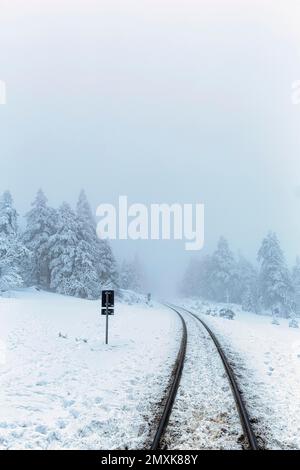 Voies ferrées du Brockenbahn dans le paysage enneigé, brouillard, parc national de Harz, Schierke, Wernigerode, Comté de Harz, Saxe-Anhalt, Allemagne, Europe Banque D'Images