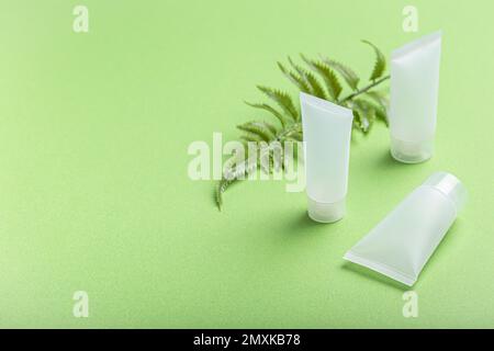 Ensemble de bouteilles de produits de beauté biologiques de soin de la peau et SPA naturel cosmétiques blanc matte récipients avec feuilles de fougères végétales sur fond vert propre Banque D'Images