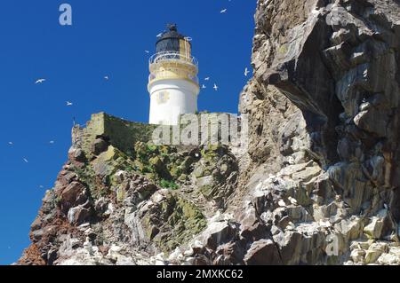 Phare, murs et falaises, ciel bleu avec d'innombrables oiseaux, gantets Bass Rock, North Berwick, Écosse, Grande-Bretagne Banque D'Images