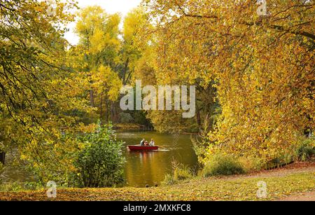Bateau à rames avec famille en automne sur Neuer See, Tiergarten, Mitte, Berlin, Allemagne, Europe Banque D'Images