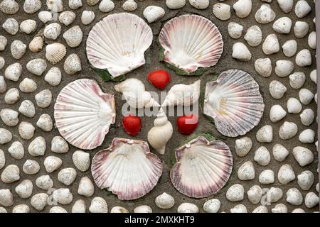 Patron avec coquilles à Sneglehuset près de Thybore, Danemark, Europe Banque D'Images