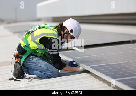 ingénieurs installant des panneaux solaires sur le toit. Des ingénieurs mâles marchant le long de rangées de panneaux photovoltaïques Banque D'Images