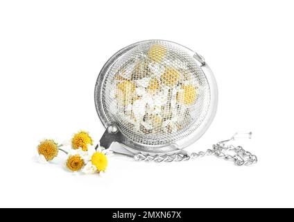 Fleurs de camomille sèches dans l'infuser isolé sur blanc Banque D'Images