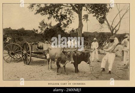 Bullock Cart à Chorrera du livre Panama et le Canal en images et en prose : Une histoire complète du Panama, ainsi que l'histoire, le but et la promesse de son canal mondialement connu la plus gigantesque entreprise d'ingénierie depuis l'aube du temps par Willis John Abbot,1863-1934 publié à Londres ; New York par Syndicate Publishing Co. En 1913 Banque D'Images