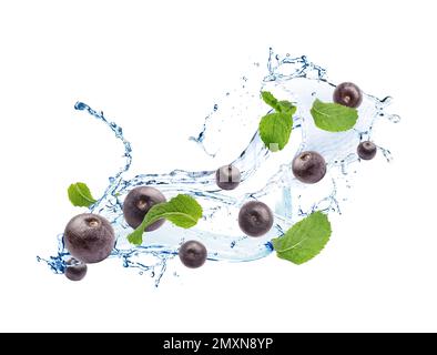 Aspersion d'eau avec des baies d'acai et des feuilles de menthe sur fond blanc Banque D'Images