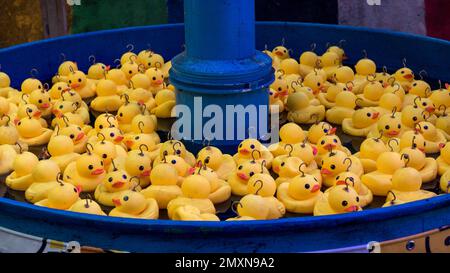 Canard en caoutchouc jaune dans une piscine bleue à une foire locale. Banque D'Images