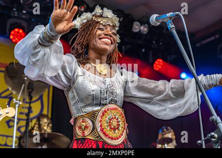 Die Band Golden Dawn Arkestra aus den USA live beim Orange Blossom Special Festival, Beverungen, Deutschland | US band Golden Dawn Arkestra Live a Banque D'Images