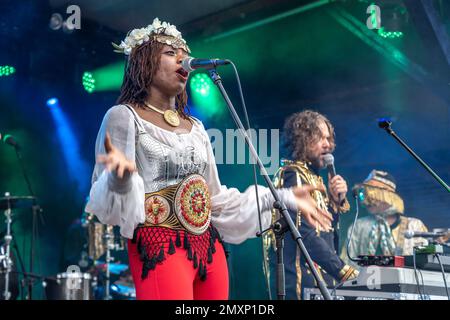 Die Band Golden Dawn Arkestra aus den USA live beim Orange Blossom Special Festival, Beverungen, Deutschland | US band Golden Dawn Arkestra Live a Banque D'Images