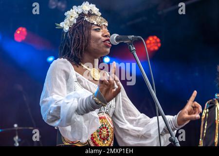 Die Band Golden Dawn Arkestra aus den USA live beim Orange Blossom Special Festival, Beverungen, Deutschland | US band Golden Dawn Arkestra Live a Banque D'Images