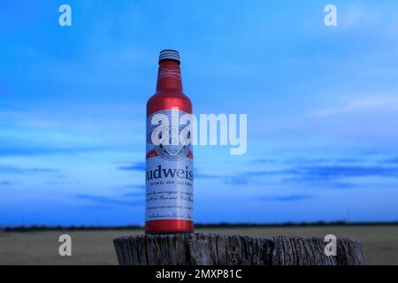 Budweiser bière dans une bouteille en métal rouge tourné en gros plan sur un poteau en bois avec ciel bleu Banque D'Images