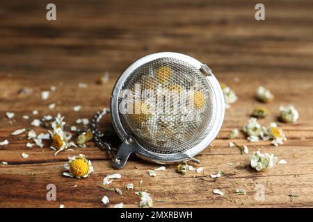 Sécher les fleurs de camomille dans l'infuser sur une table en bois, en gros plan Banque D'Images