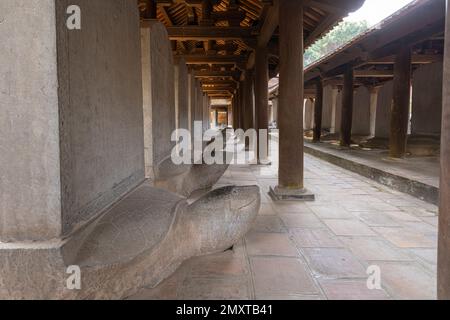 Hanoï, Vietnam, janvier 2023. les statues de tortues dans le parc du temple de la littérature Banque D'Images