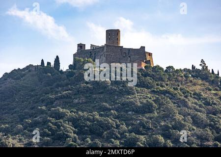 Un château médiéval situé sur une colline boisée à Collioure, en France Banque D'Images
