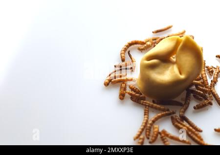 Mealworms approuvé comme nourriture humaine sur fond blanc Banque D'Images