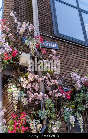 Un cliché vertical de fleurs colorées qui fleurissent sur le côté d'un bâtiment en brique Banque D'Images
