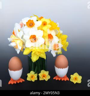 Petit déjeuner de printemps et de Pâques avec œufs durs dans des coquetiers de fantaisie, fleurs de jonquilles. Nature, amusement, belle, printemps composition sur gradient Banque D'Images