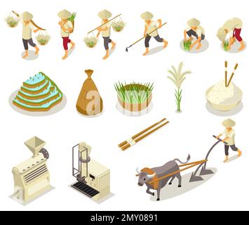 Ensemble isométrique de production de riz avec icônes isolées des outils de collecte et de nettoyage avec des personnages de l'illustration vectorielle des travailleurs Illustration de Vecteur