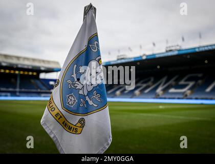 Sheffield, Royaume-Uni. 04th févr. 2023. Vue générale de Hillsborough pendant le match Sky Bet League 1 Sheffield mercredi contre Plymouth Argyle à Hillsborough, Sheffield, Royaume-Uni, 4th février 2023 (photo de Stanley Kasala/News Images) à Sheffield, Royaume-Uni le 2/4/2023. (Photo de Stanley Kasala/News Images/Sipa USA) crédit: SIPA USA/Alay Live News Banque D'Images