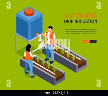Bannière d'arrosage goutte-à-goutte automatique illustrant le système d'arrosage pour les semis illustration vectorielle isométrique Illustration de Vecteur